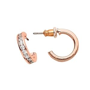 Park Lane Classique Earrings